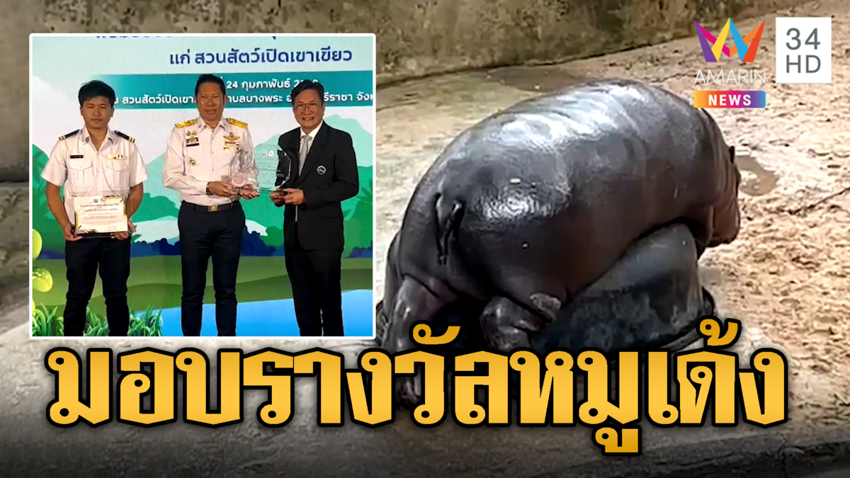 ฮอตไม่หยุด! ททท.มอบรางวัลให้คุณหมูเด้ง