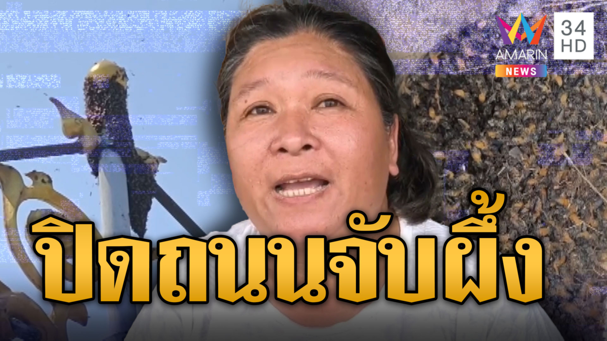 งานใหญ่! ปิดถนนกลางเมืองโคราช ไล่จับผึ้งหลวง