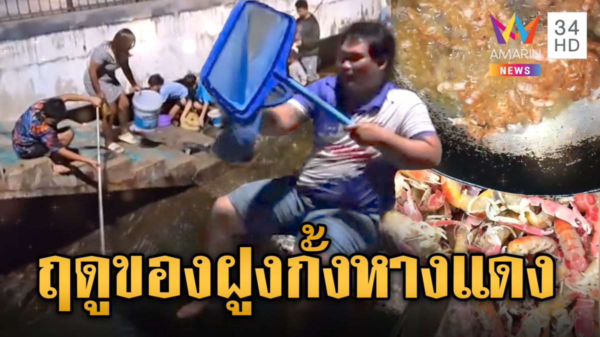 ฤดูฝูงกั้งหางแดง ชาวบ้านคว้าสวิงตักริมหาดบางแสน ทำอาหารแสนอร่อย