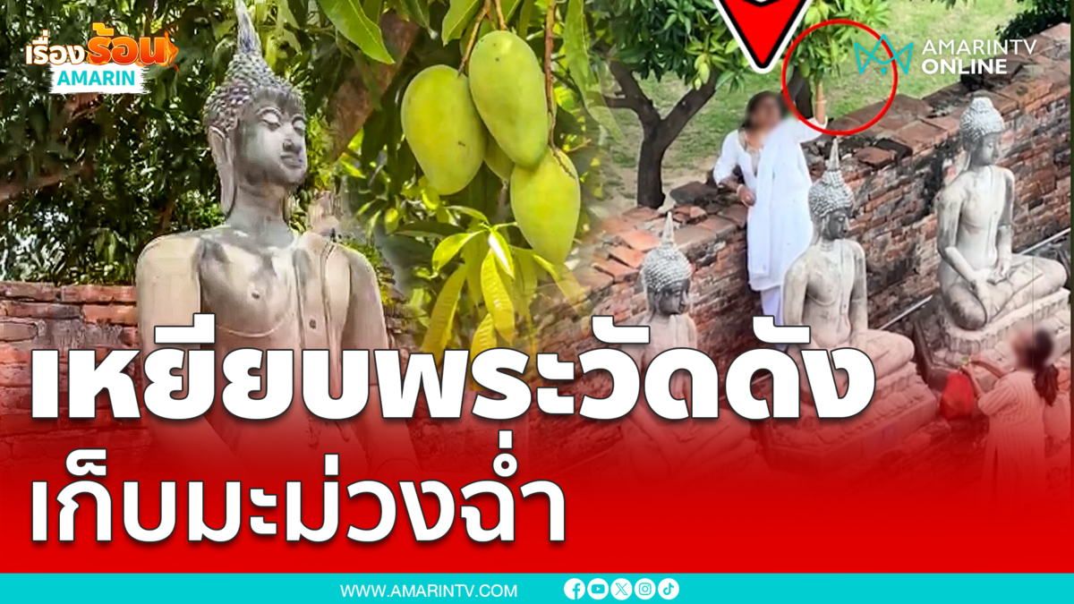 คนไทยไม่ทน สาวเหยียบพระวัดดังเก็บมะม่วง
