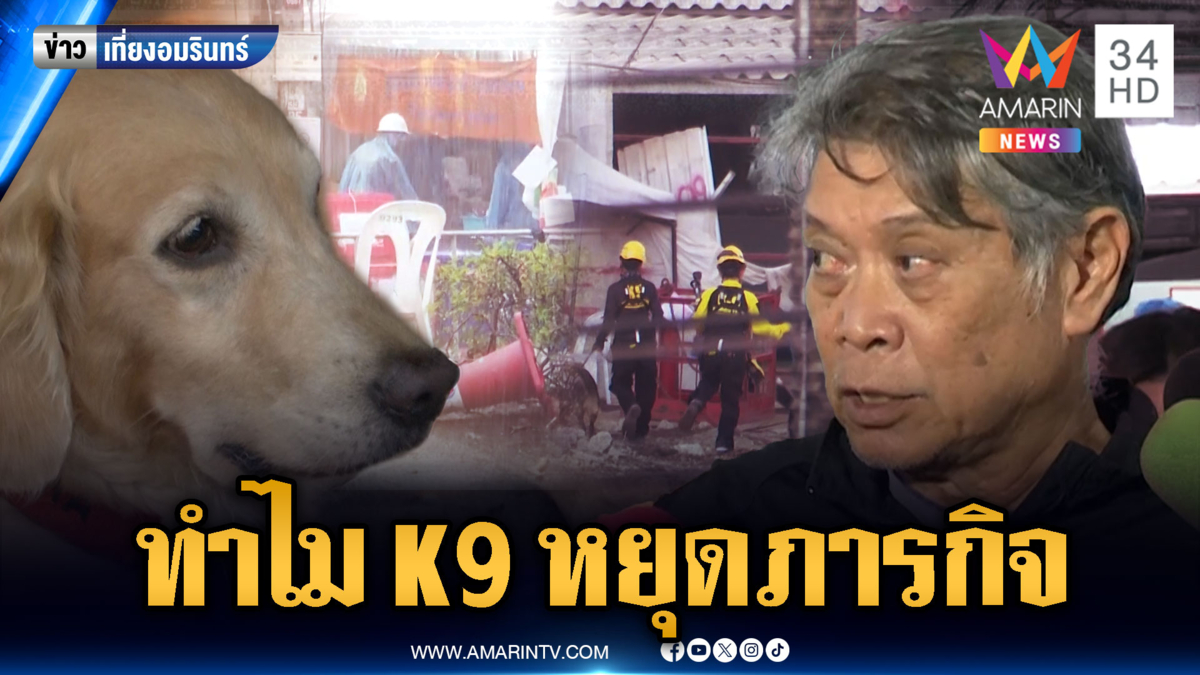 ฝนตกหนักทำกู้ซากตึกล่าช้า สุนัข K9 ประกาศยุติภารกิจแล้ว