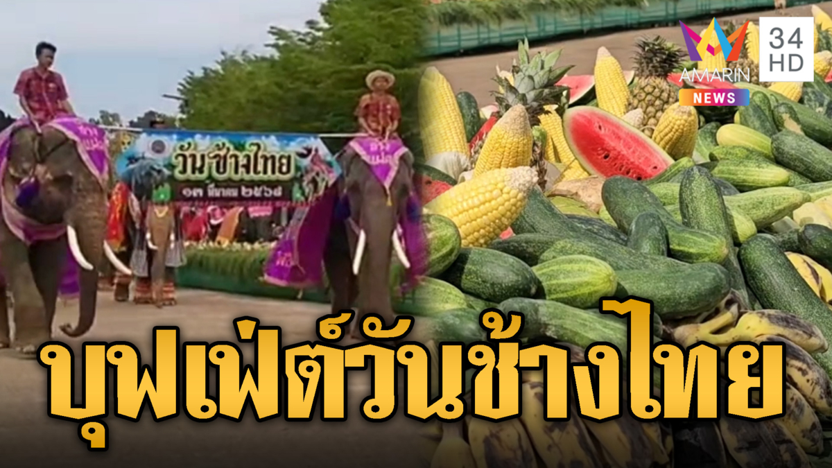 สุดยิ่งใหญ่! เลี้ยงบุฟเฟ่ช้าง วันช้างไทย กว่า 100 เชือก