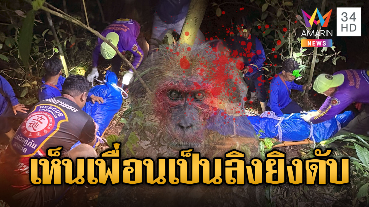 หนุ่มล่าสัตว์เห็นเพื่อนเป็น "ลิงเสน" ยิงดับคาป่า