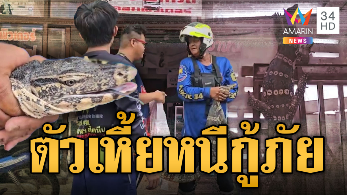 กู้ภัยร้องลั่นบ้าน! ปราบตัวเหี้ยใหญ่ กระโดดโลดแล่นในห้องครัว