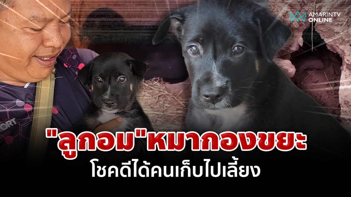 น้อง"ลูกอม"หมาจรจากกองขยะ โชคดีได้คนเก็บไปเลี้ยง