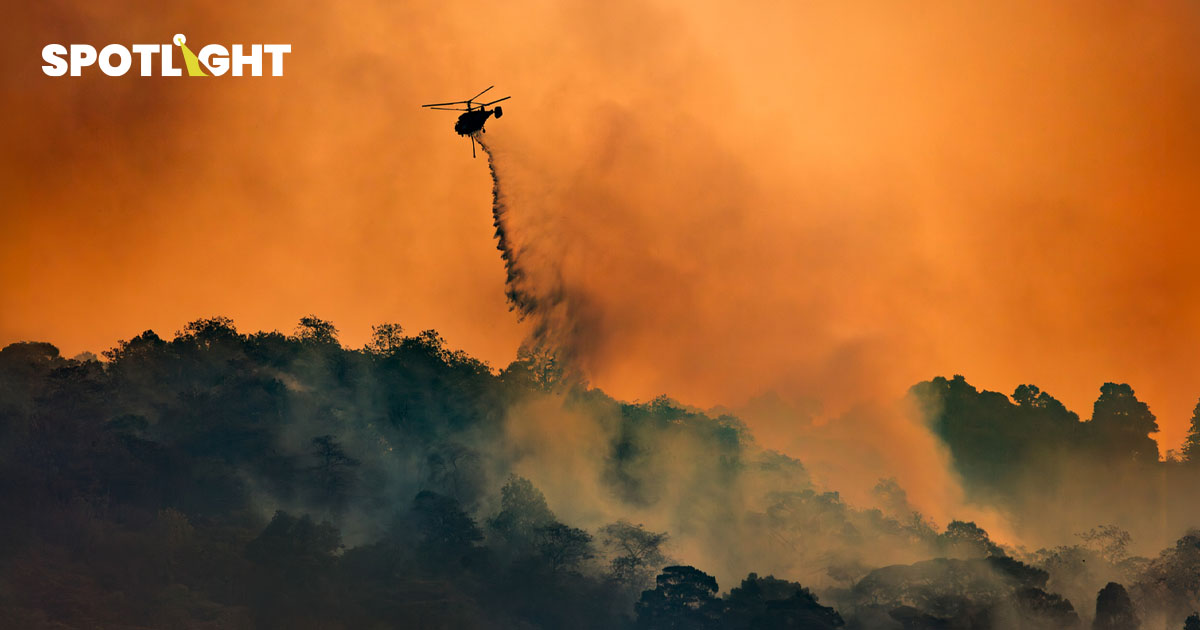 มีใคร “ร้อน” กว่านี้มั้ยคะ? WMO ชี้ 2024 ร้อนสุดในประวัติการณ์