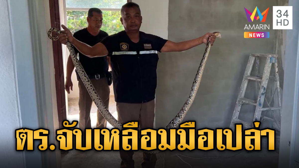 คุณตำรวจเป็นได้ทุกอย่าง โชว์จับงูเหลือม 3 เมตรมือเปล่า