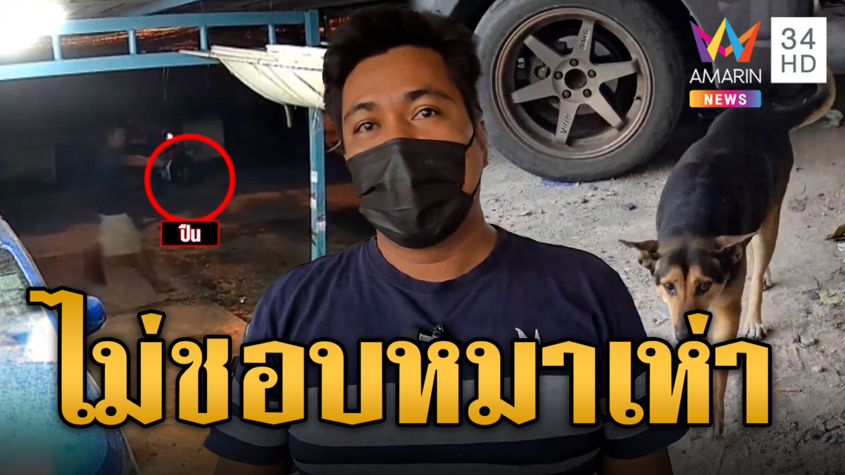 ขี้เมาของขึ้น! หมาเห่ารำคาญหู ชักปืนเล็งเจ้าหมูหวาน