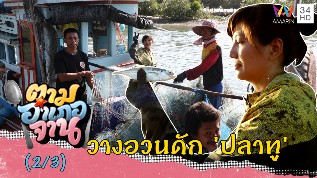 ปลามาเป็นฝูง! ออกเรือวางอวนดัก 'ปลาทู' | ตามอำเภอจาน | 14 ก.ย.62 (2/3)