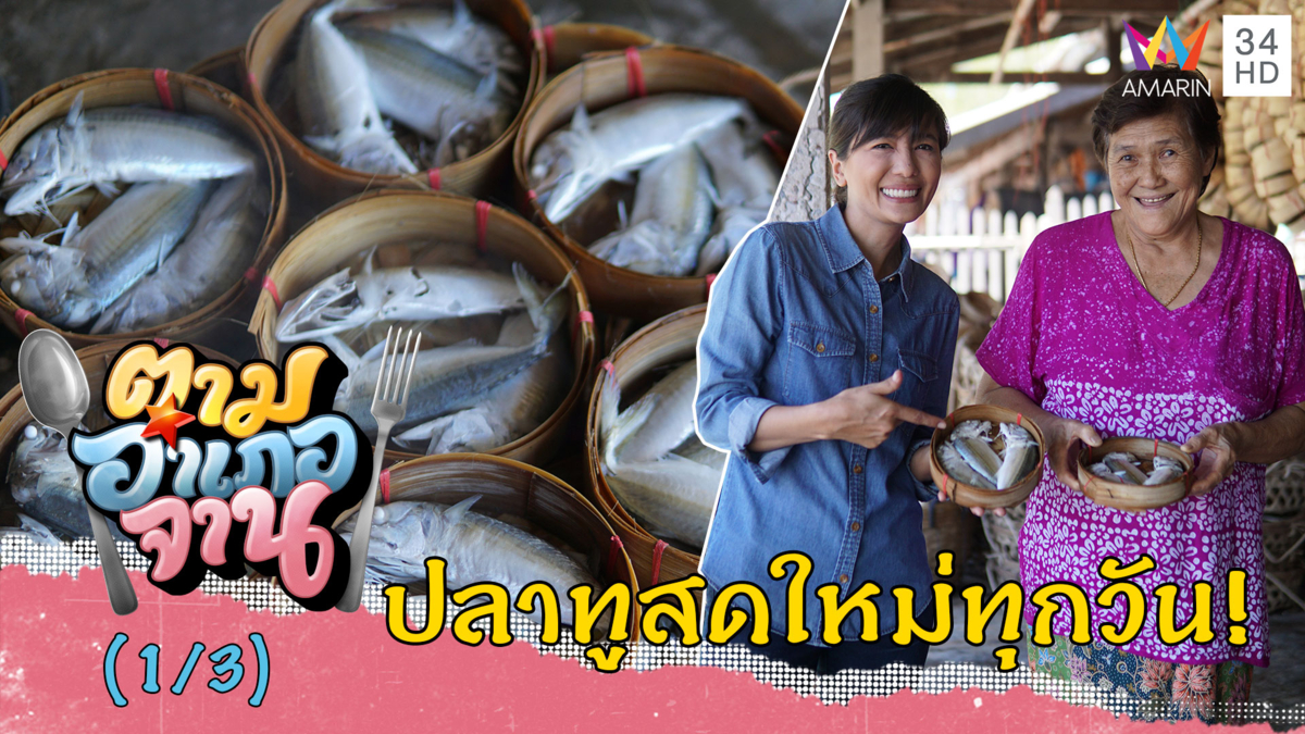 บุก! 'โรงนึ่งปลาทู' บ้านบางปู สดใหม่ทุกวัน จ.ประจวบคีรีขันธ์ | ตามอำเภอจาน | 14 ก.ย.62 (1/3)