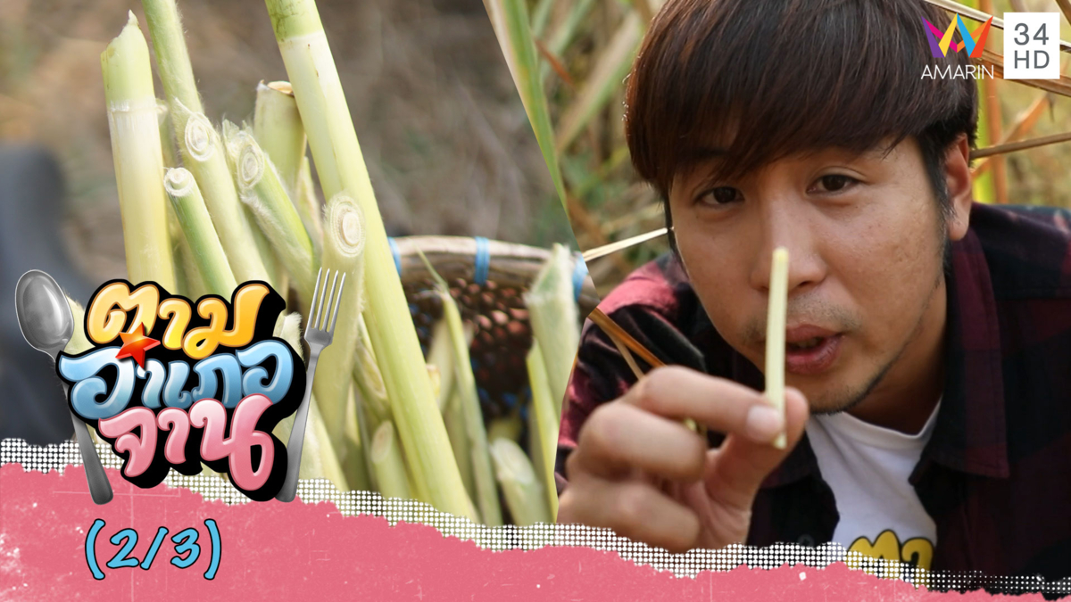 บุกป่าฝ่ากอหญ้า! ตามหา 'หน่อเลา' จ.สกลนคร