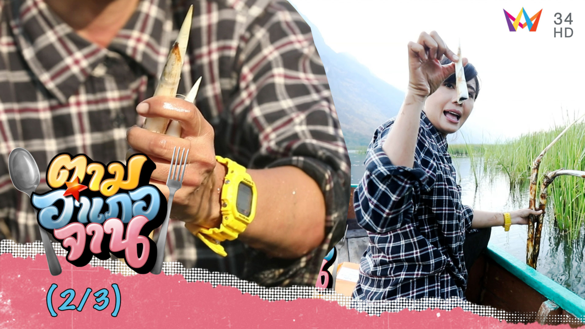 ไม่ง่าย! ลงเรือหา 'หน่อธูปฤาษี' จ.ประจวบคีรีขันธ์