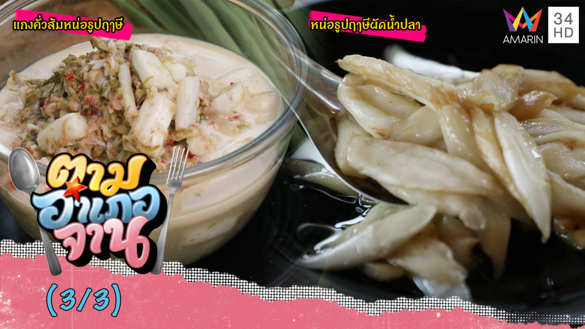 จานเด็ด! 'แกงคั่วส้มหน่อธูปฤาษี-หน่อธูปฤาษีผัดน้ำปลา'
