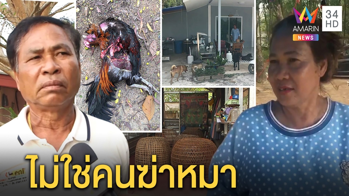 คดีพลิก ผช.ผญบ.โต้ฆ่าหมาหั่นให้ต่างด้าวกิน แฉยับเจ้าของปล่อยกัดไก่ชนสูญร่วมแสน