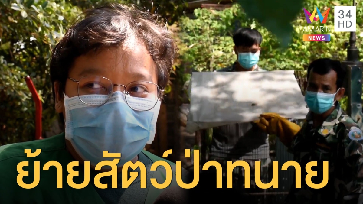 จนท.เคลื่อนย้านสัตว์ป่าของทนายความไปดูแล