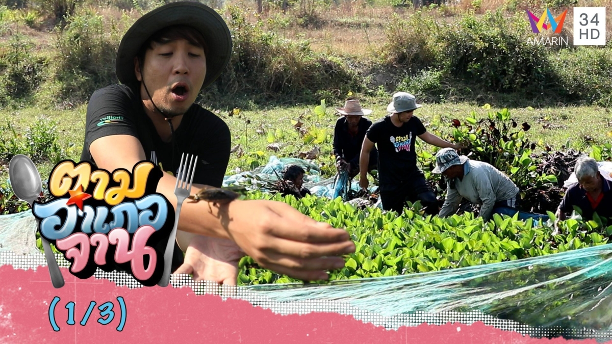 รวมพลังลุยน้ำ 'โจมปลา' ที่กุดหวาย จ.ศรีสะเกษ