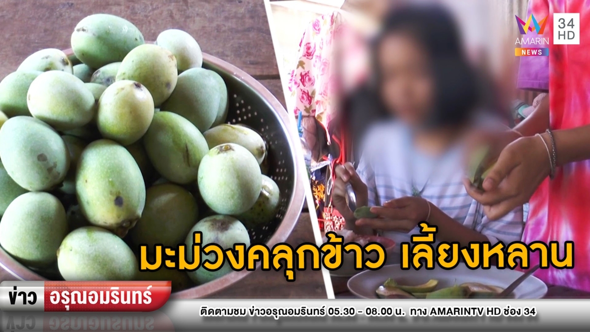 สะเทือนใจ! ปู่ย่าไร้สิทธิรับเงิน 5 พัน เก็บมะม่วงคลุกข้าวให้หลานกิน