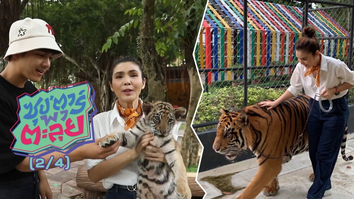 ฝน ธนสุนธร นักร้องลูกทุ่งล้านตลับ