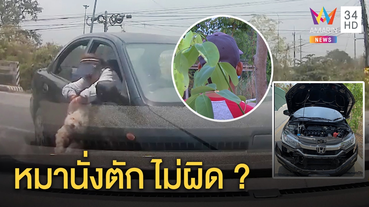 แฉป้าอุ้มหมานั่งตักขับชนอ้างน้องเป็นตร. ล่องหนชิ่งค่าซ่อม4หมื่น ซ้ำด่าอย่าโทษหมา
