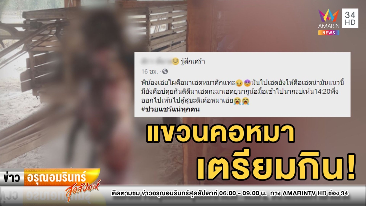 สะเทือนใจ! คนโหดโกนขนแขวนคอหมาตายสยอง คาดจะทำเมนูเด็ด