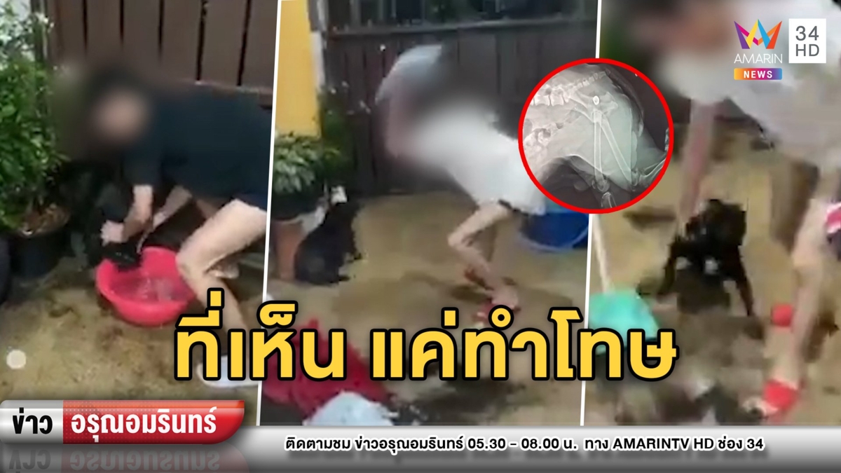 เอาผิด! สาวสองเดือดจับหมาทุ่ม-ฟาดไม่ยั้ง อ้างแค่สั่งสอน ปัดรุนแรง