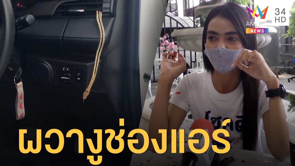 สาวกรี๊ด! งูโผล่ช่องแอร์รถยนต์ ประจันหน้าตอนขับรถ