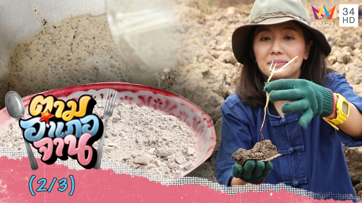 วิธีทำแป้งแห้ว ชุมชนหนองหลวง จ.พิษณุโลก