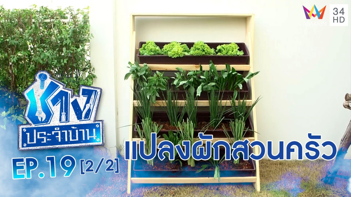 แปลงปลูกผัก ง่ายๆทำเองได้
