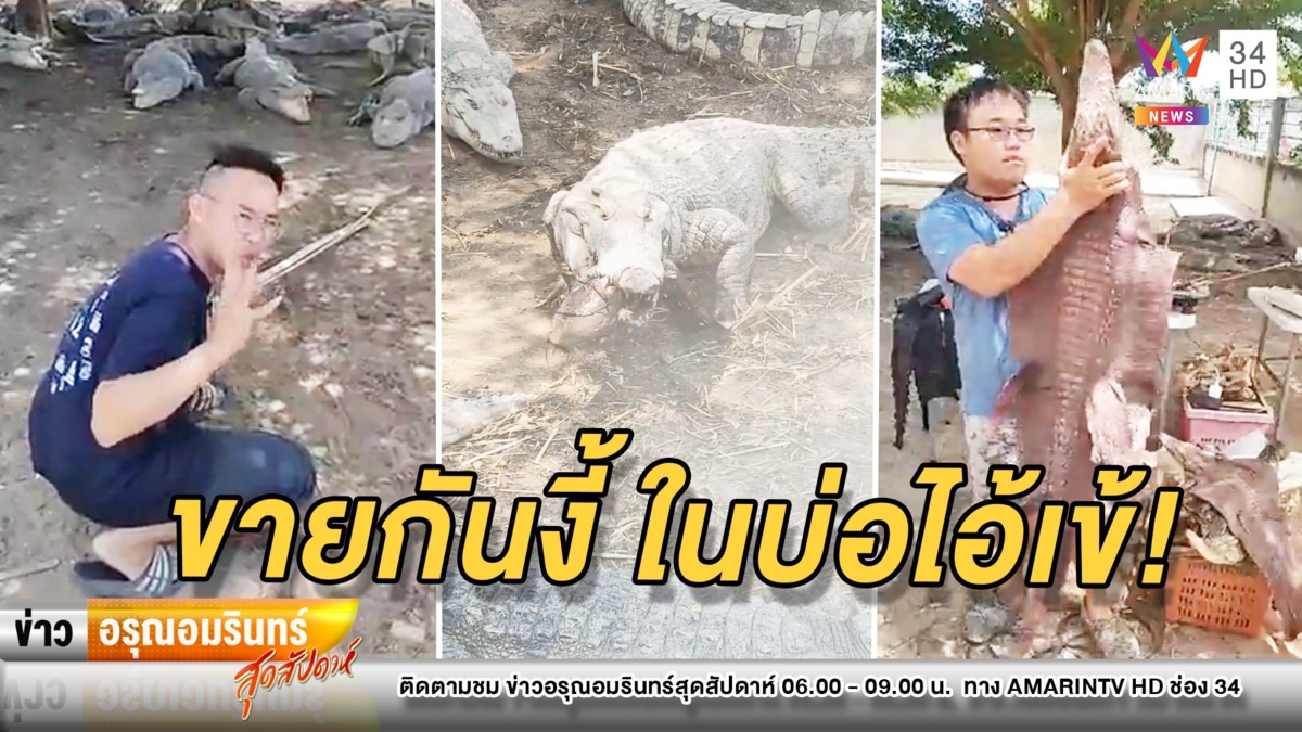 มิติใหม่! 2 พี่น้องไลฟ์ทำอาหาร-ขายของในบ่อจระเข้เกือบร้อยตัว