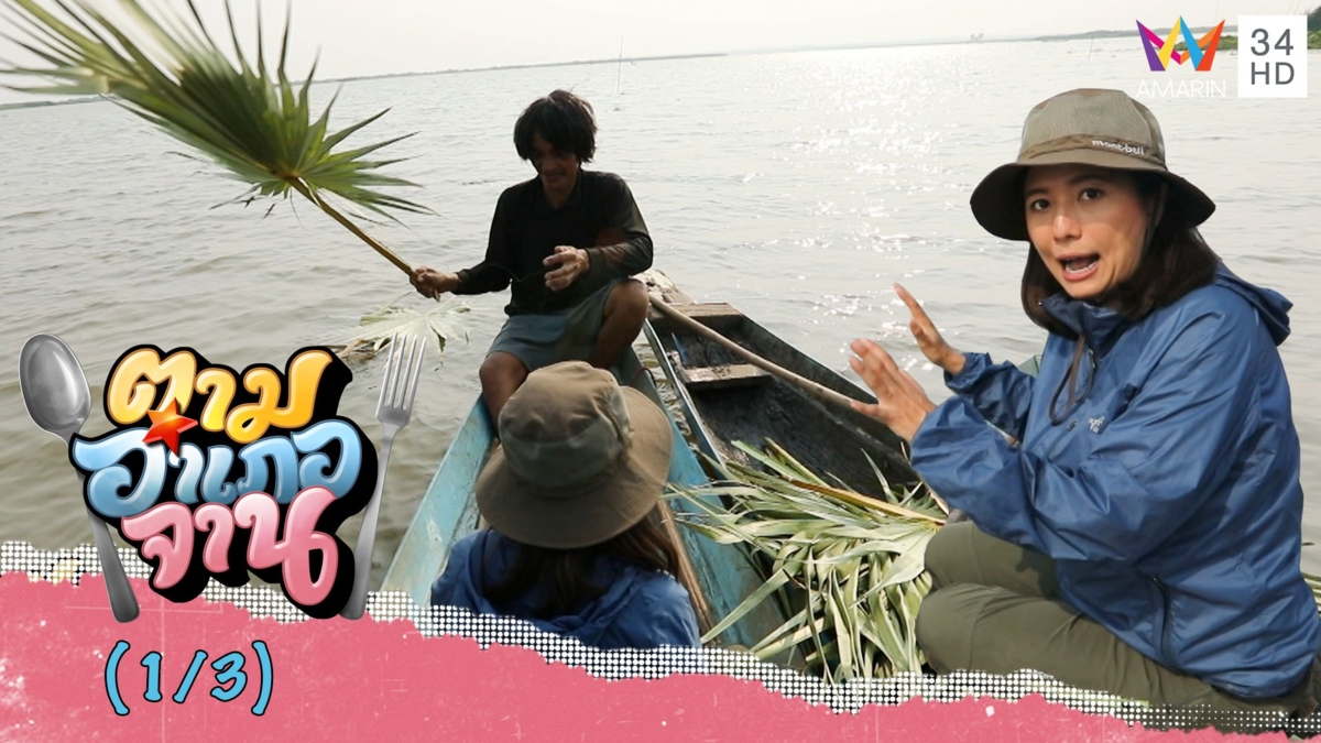 แล่นเรือทิ้งก้านตาล ดักหอยขม บึงละหาน จ.ชัยภูมิ
