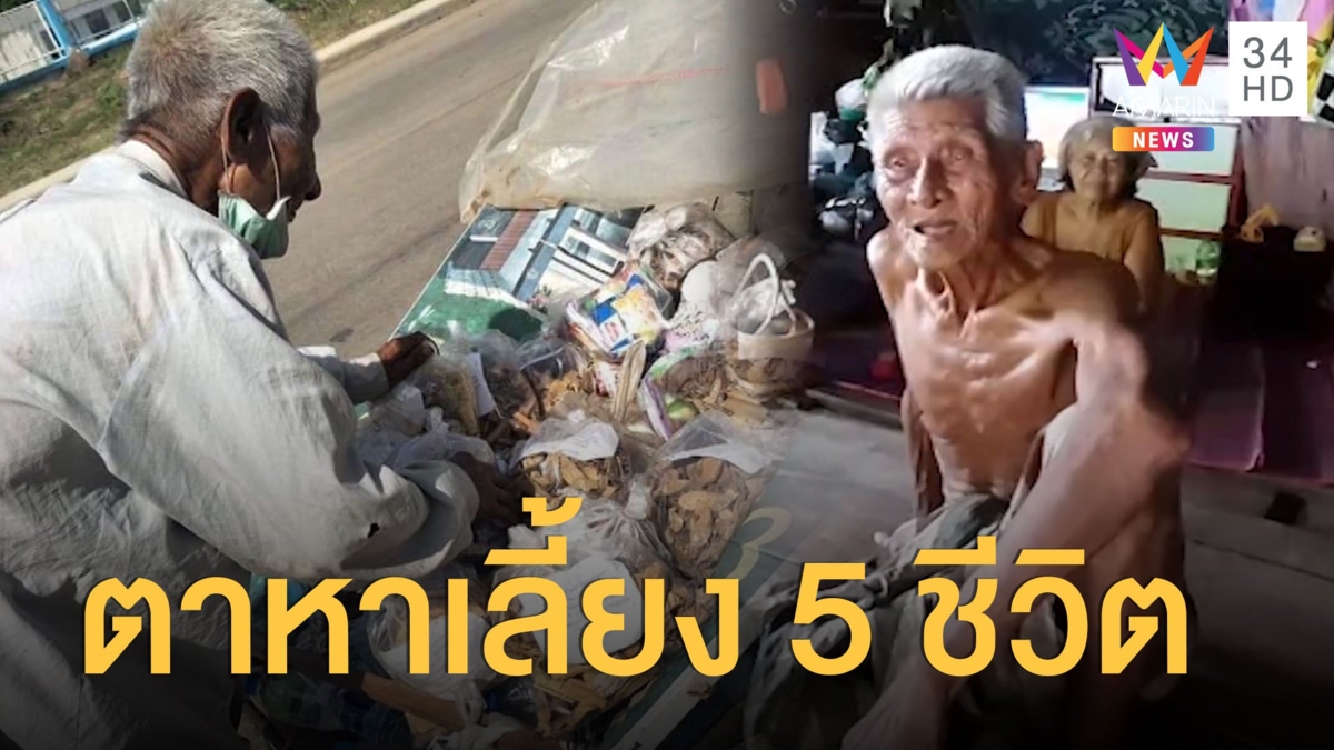 ตาวัย 95 เดินป่านับเดือน หาสมุนไพรทำยารักษาโรคขาย