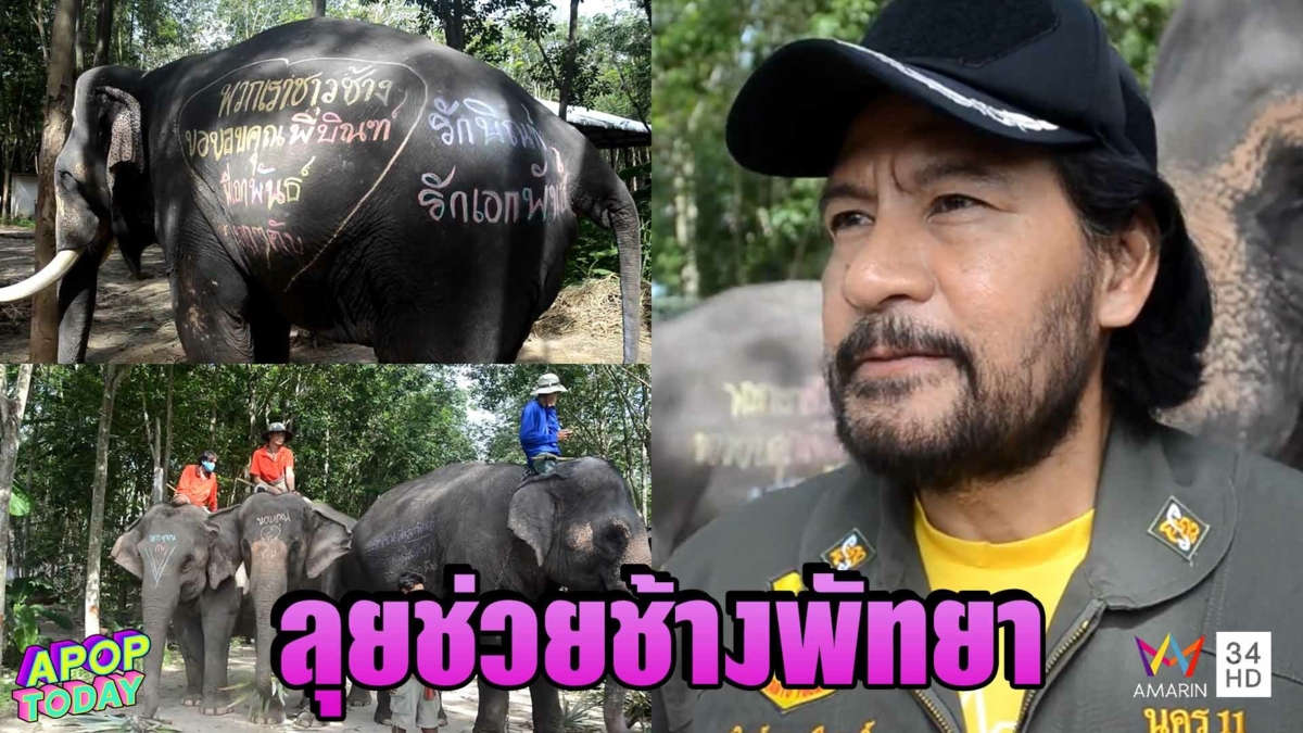 “บิณฑ์” ลุยพัทยาช่วยช้าง-ครอบครัวควาญช้าง และสัตว์ต่าง ๆ