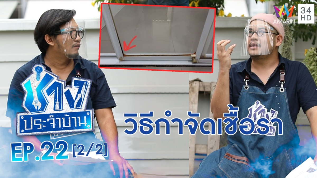 วิธีกำจัดเชื้อราที่ขอบยางประตู