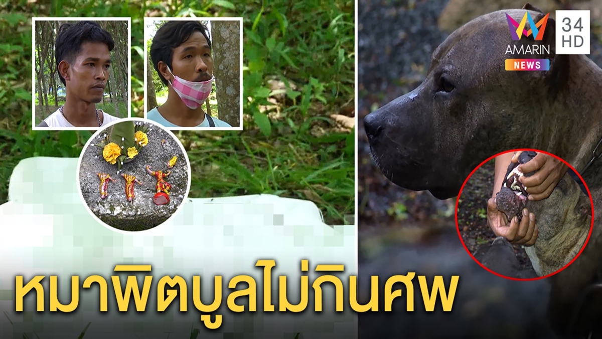 แหกเขี้ยวหมาพิสูจน์รอยขย้ำเด็ก 6 ขวบ ญาติผวาอาถรรพ์นางรำทำศพหายครึ่งท่อน