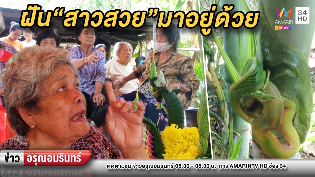 แปลกให้โชค! ใบต้นหมากแดงคล้ายพญานาค ฝันมีสาวสวยมาอยู่ด้วย