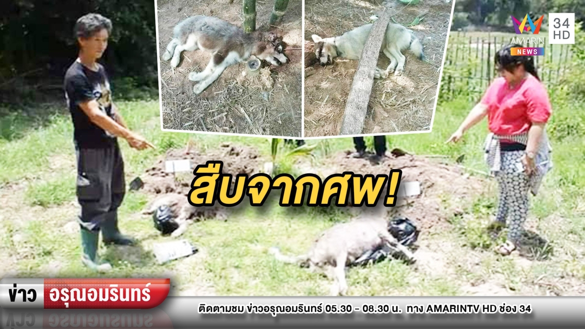 ขุดซากแม่ลูกไซบีเรียน “มานี-ซูก้า” ล่าฆาตกรโหดฟัน-ควักลูกตา