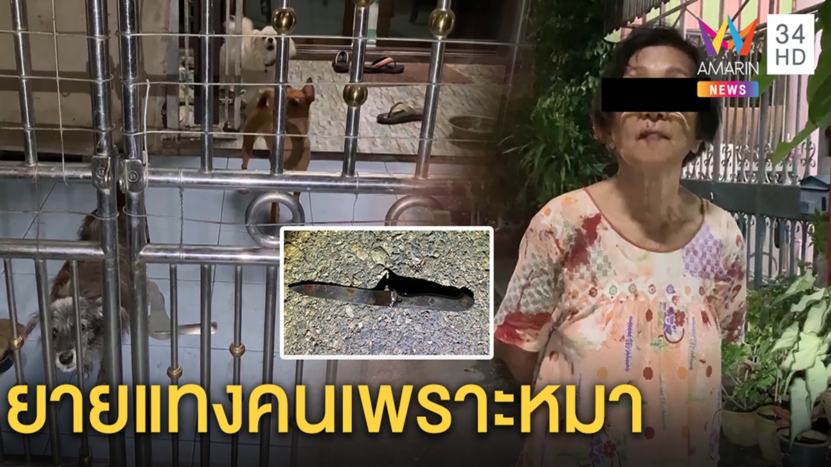 เถียงกันเรื่องหมา ยาย 81 แทงเพื่อนบ้านบาดเจ็บ