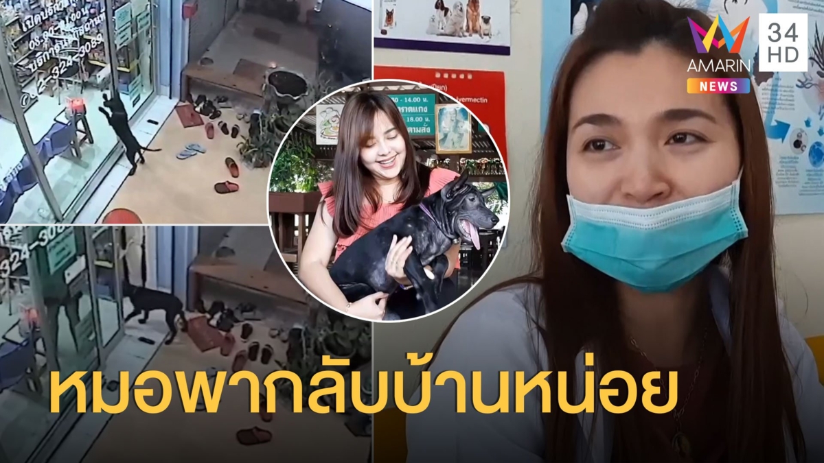 หมาหลงจากบ้าน เคาะกระจกหมอคลินิก ขอให้ช่วยหน่อย