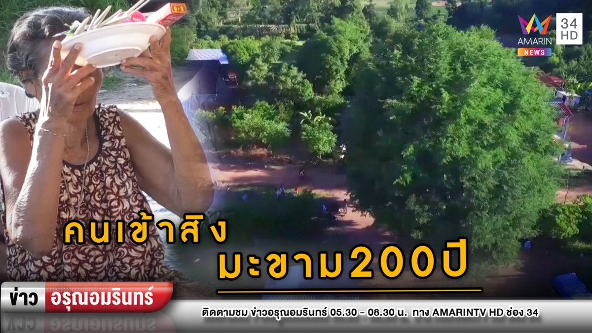 ตะลึง! แห่ส่องเลขต้นมะขามยักษ์ 200 ปี หลังเห็นคนโบราณเข้าสิง