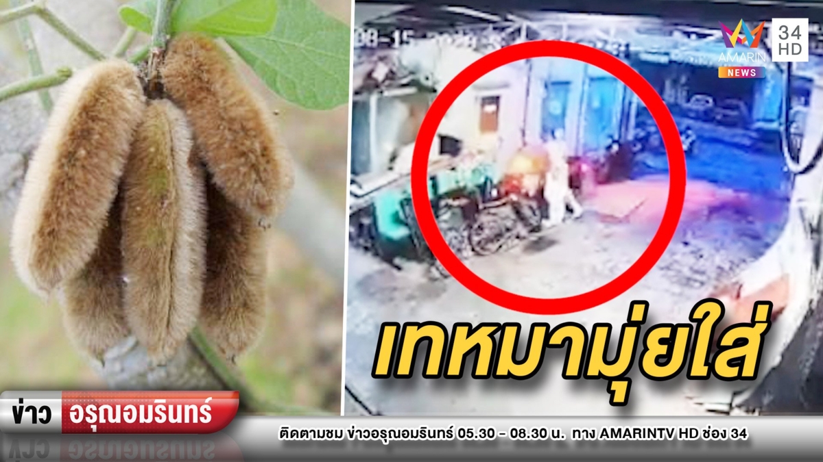 สาวโพสต์ ผช.พยาบาล เท “หมามุ่ย” ใส่ จยย. – ชาวเน็ตแนะแจ้งความ
