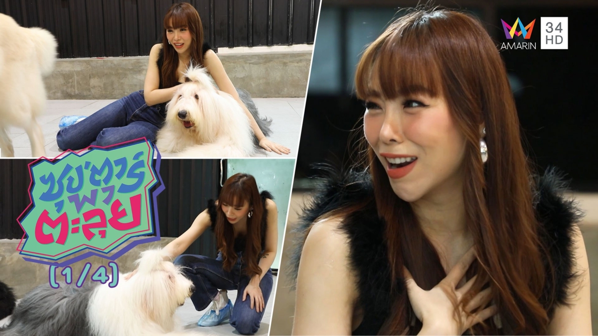 'ซานิ นิภาภรณ์' สาวสวยรักสัตว์ พาเล่นกับสุนัขสายพันธุ์ใหญ่