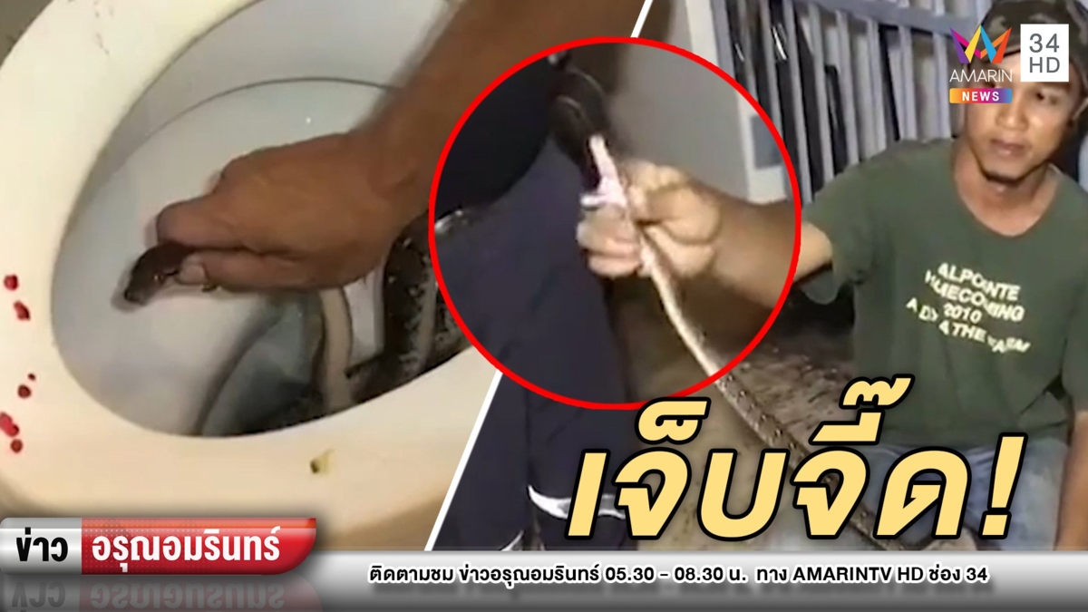 งูโผล่ชักโครก ฉก “ของลับ” หนุ่ม 18 เลือดสาด