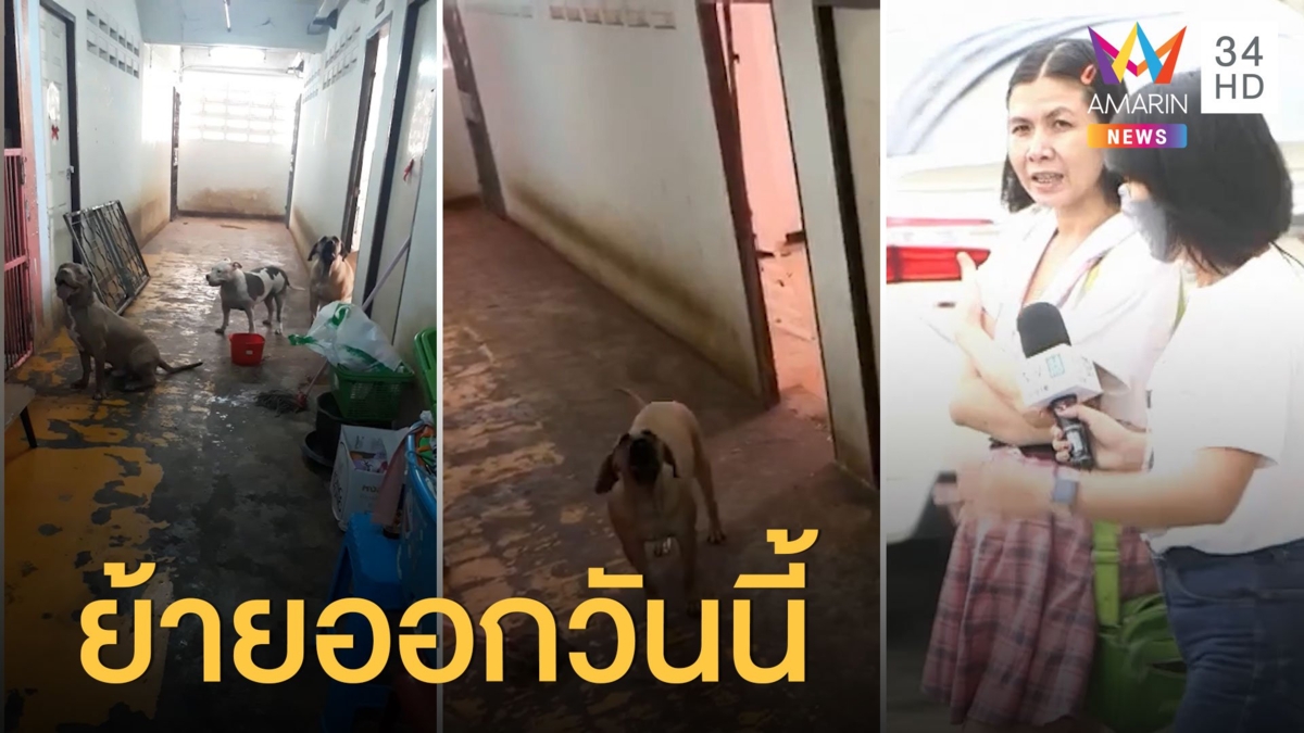 สาวเลี้ยงพิทบูล ประกาศขายห้องพัก 1 แสน เตรียมย้ายออกวันนี้
