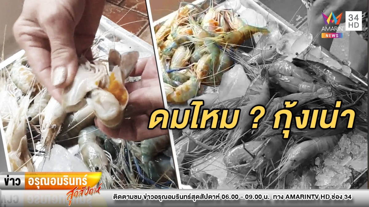 ดมไหม?  สาวใหญ่โมโหซื้อกุ้งแม่น้ำมา แต่กลายเป็นกุ้งเน่า