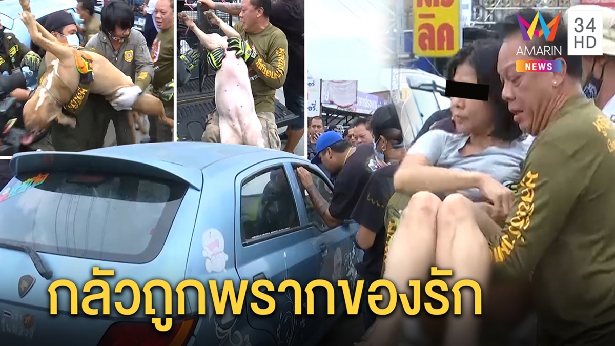 เค้กเปิดปากกอด 3 พิตบูลคารถหวั่นถูกพราก หมอดูแลจนกว่าหาที่อยู่ใหม่ได้