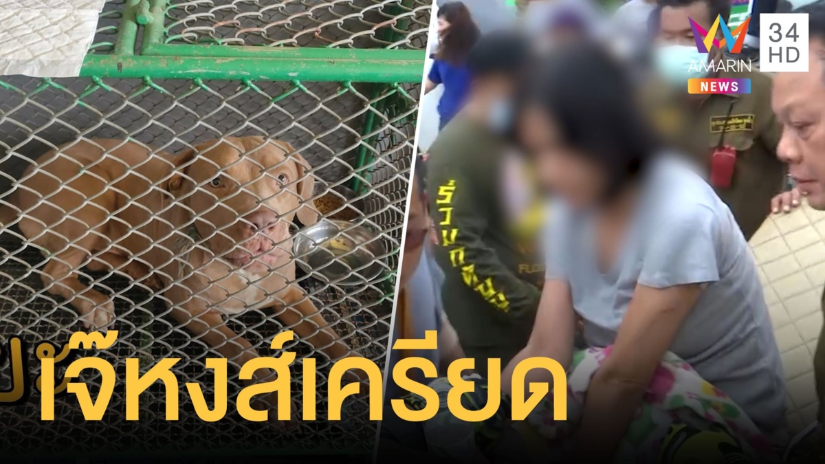 "วอชด็อก" เผยเจ้าของและพิทบูล 6 ตัว ยังเครียด เร่งช่วยหาบ้านใหม่