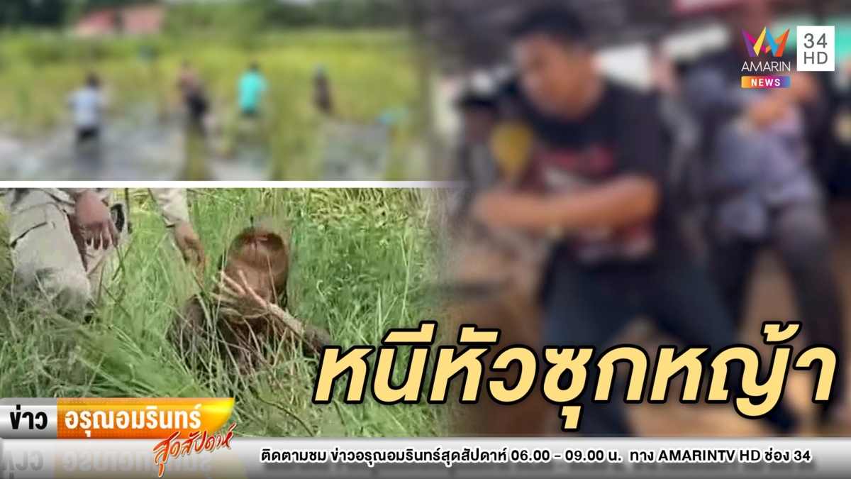 หนีกระเจิง! เซียนพนันนับร้อยเจอบุกจับบ่อนกลางทุ่ง หัวซุกต้นหญ้าหนี