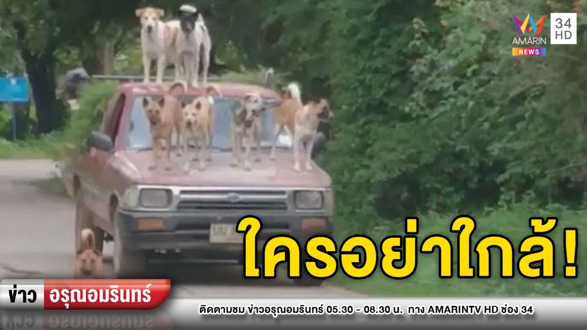 น่ารัก! 7 สุนัของครักษ์พิทักษ์ลุงตัดหญ้า