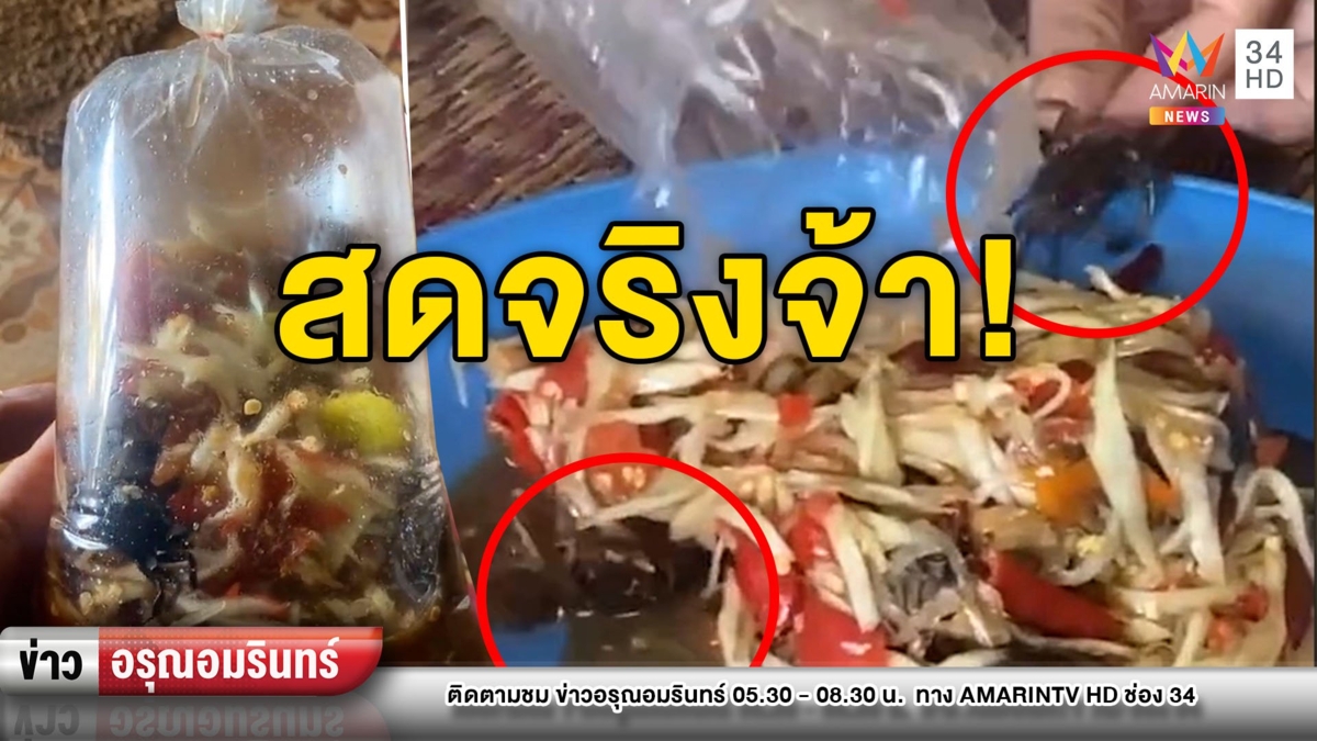 ตะลึง! “ส้มตำไทยปู” คอนเฟิร์มสดถึงใจ ตัวดิ้นได้วิ่งทั่วจาน