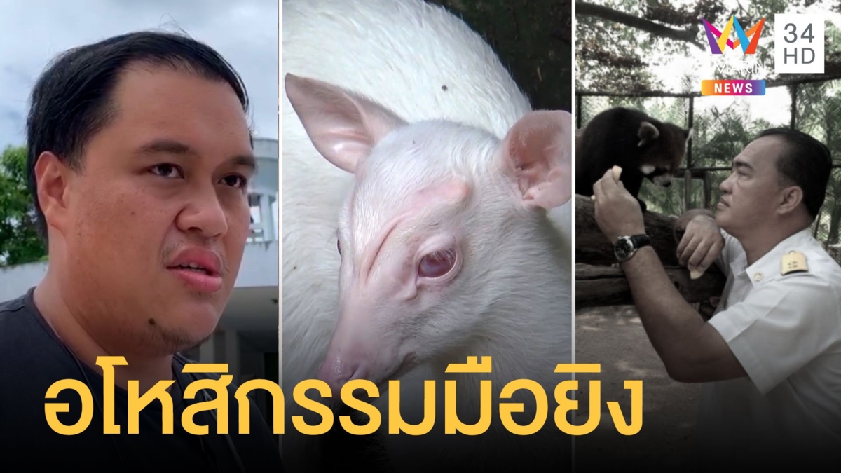 ลูกชาย ผอ.องค์การสวนสัตว์ฯ เผยพ่อหวังแก้ปัญหาการค้าสัตว์ป่า